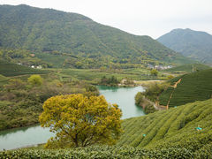 -午潮山国家森林公园