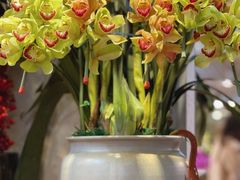 -双季花艺园艺市场(浦东店)