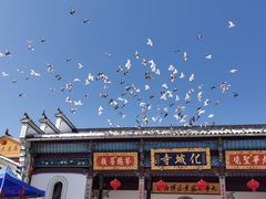 -九华山风景区