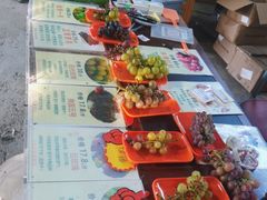 -马陆小张葡萄园农家乐