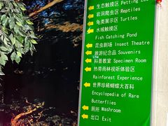 -上海大自然野生昆虫馆(东方明珠·爬宠昆虫探索中心)