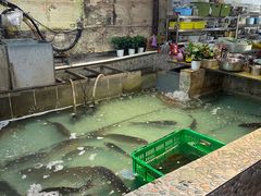 -鱼窝棚柴火铁锅炖(富山屯店)