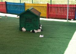 -萌宠亲子动物乐园(槐房万达店)