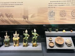 -四川大学博物馆