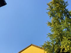 -宝通禅寺