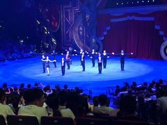 -珠海横琴长隆《卡卡虎奇遇记》