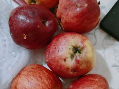 -粤香楼(新光里店)