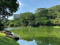 -东莞植物园