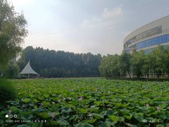 -南京信息职业技术学院