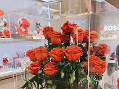 -ROSEONLY诺誓(青岛万象城店)