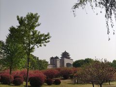 -莲花池公园