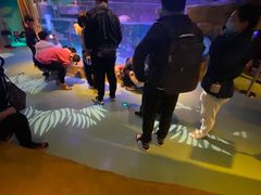 -沈阳海洋探索中心