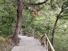 -北京上方山国家森林公园