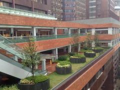 -香港大学