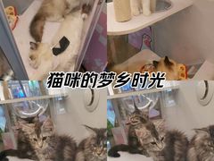 -深圳龙华星河COCO City(民治店)