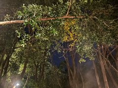 -湖泉半山温泉(湖泉生态园)