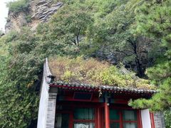 -北京鹫峰国家森林公园