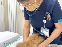 -美联众合爱康动物医院•复杂内科•肿瘤科•牙科•腔镜诊疗中心