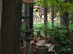 -灵谷景区