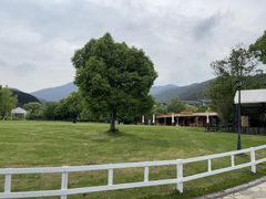 -宁波九龙湖开元度假村