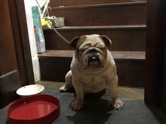 -海口骑楼小吃街