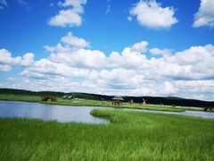 -塞罕坝国家级自然保护区