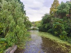 -昆山城市生态森林公园
