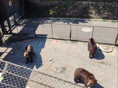 -大连森林动物园