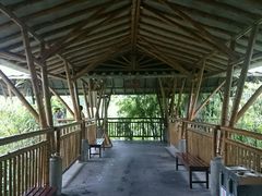 -海口观澜湖火山温泉谷