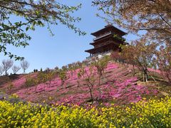 -古柏渡飞黄旅游区