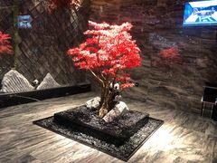 -红辣椒·川菜·火锅(大洋中心店)