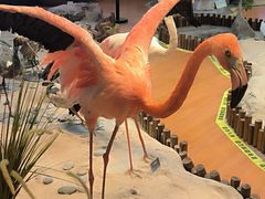-昆明动物园