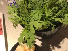 -京韵胡同·酱香羊蝎子火锅涮肉(长寿路店)