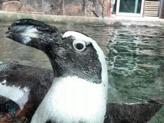 android_upload_pic-新疆天山野生动物园