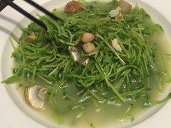 -广东道至正餐厅(区庄店)