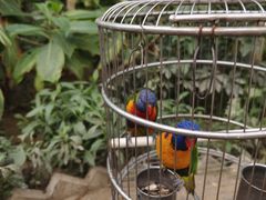 -南宫五洲植物乐园