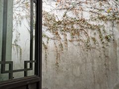 -乌镇东栅景区