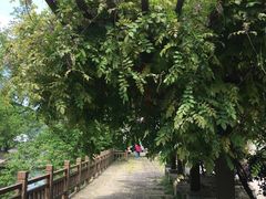 -鹿亭中村
