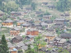 -紫鹊界梯田景区