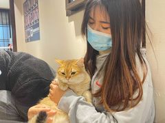 -逗柴咖啡屋·狗咖猫咖宠物桌游