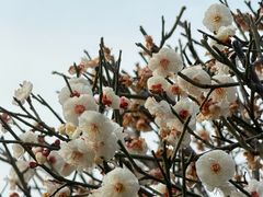 -碑林公园