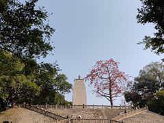 -小洲村