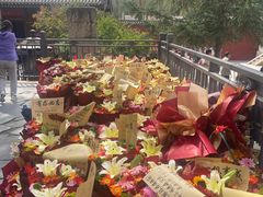 -五台山风景名胜区-罗睺寺