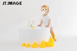 -专注孕妇照亲子照·纪田摄影