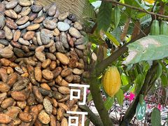 -歌斐颂巧克力小镇