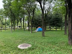 -洨河生态公园