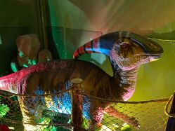 -恐龙探索乐园(磁器口店)