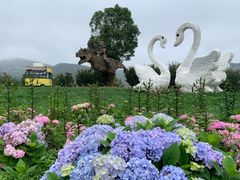 -凉都花海温泉旅游度假区