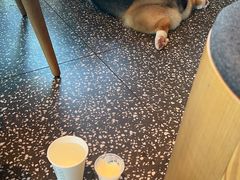 -星巴克臻选(杭州良渚文化村店)