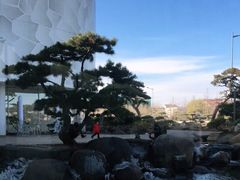 -罗红摄影艺术馆